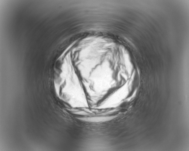 X0000070181015200606231941