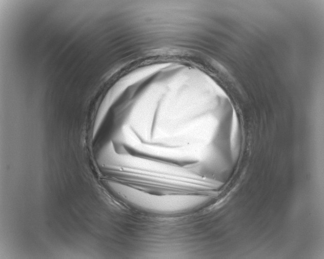 X0000070181017200606231941
