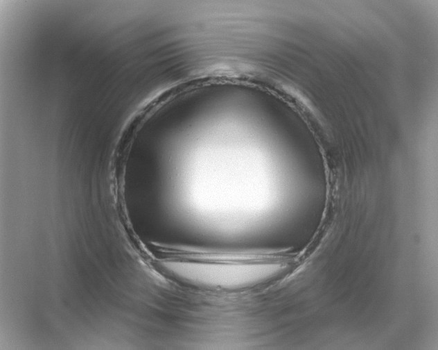 X0000070181018200606231941
