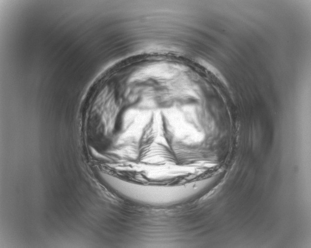 X0000070181021200606231941
