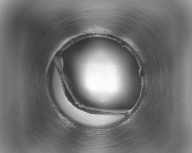 X0000070181022200606231941
