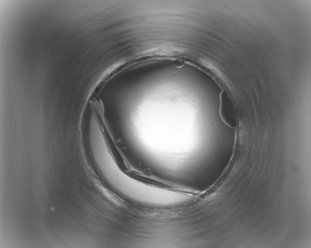 X0000070181026200606231941
