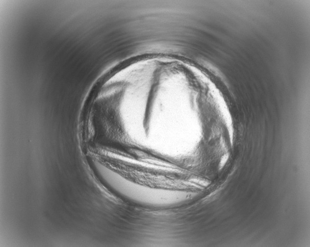 X0000070181029200606231941