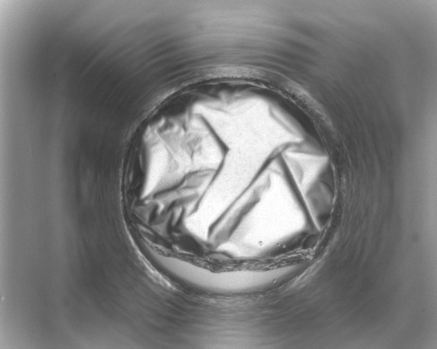 X0000070181033200606231941