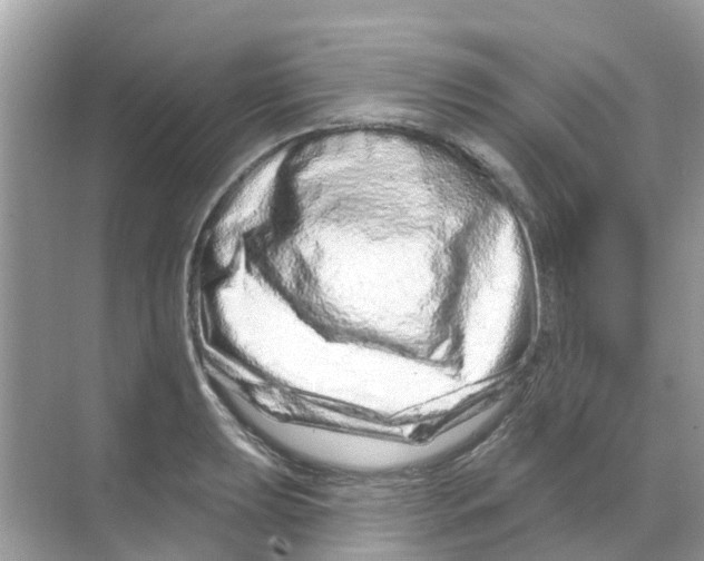 X0000070181039200606231941