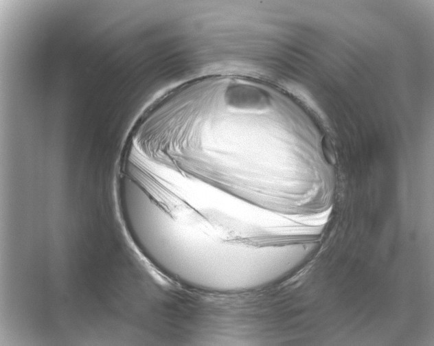 X0000070181040200606231941