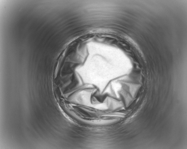 X0000070181041200606231941
