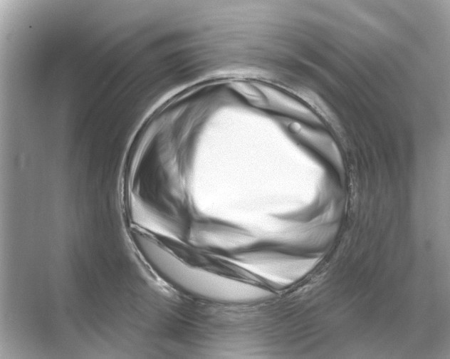 X0000070181044200606231941