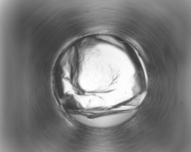 X0000070181051200606231942