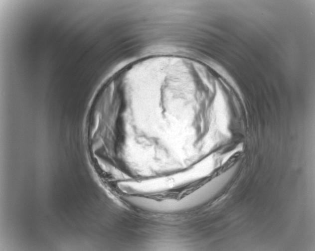 X0000070181053200606231942