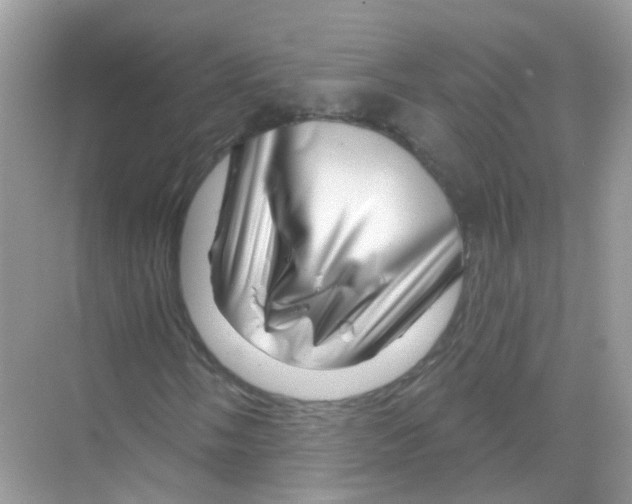 X0000070181058200606231941