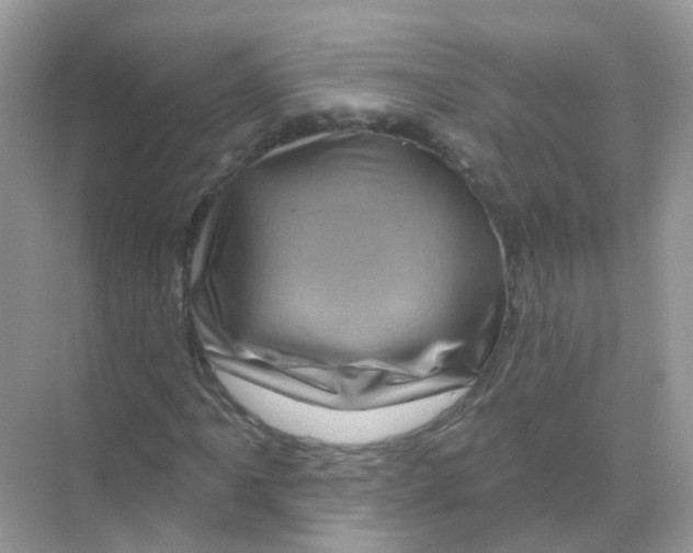 X0000070181061200606231941