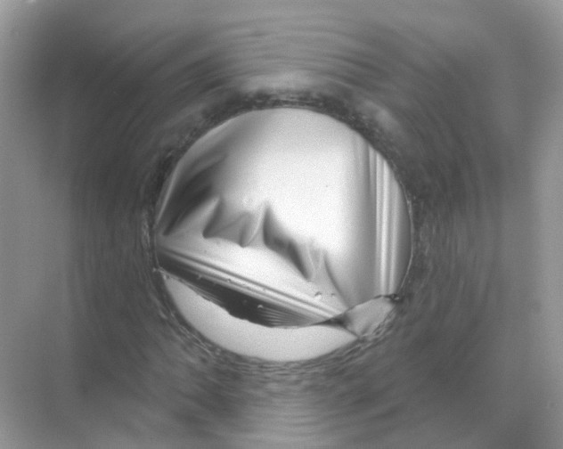 X0000070181062200606231941