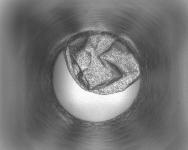 X0000070181064200606231941