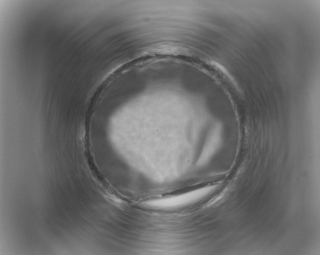 X0000070181065200606231941
