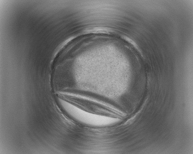 X0000070181066200606231941