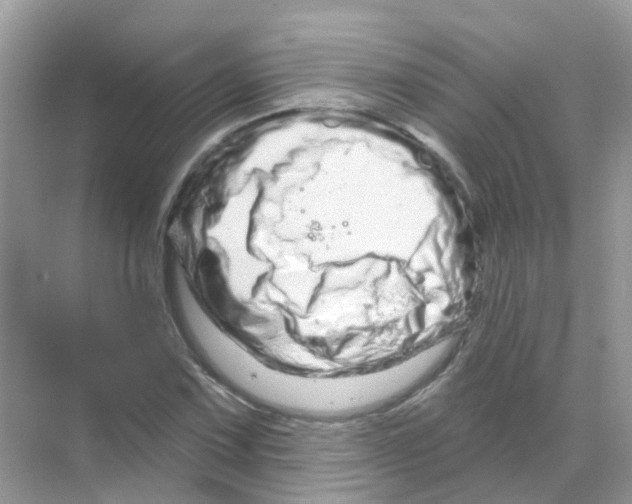 X0000070181067200606231941