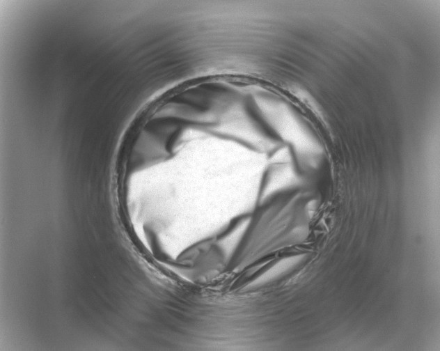 X0000070181072200606231941