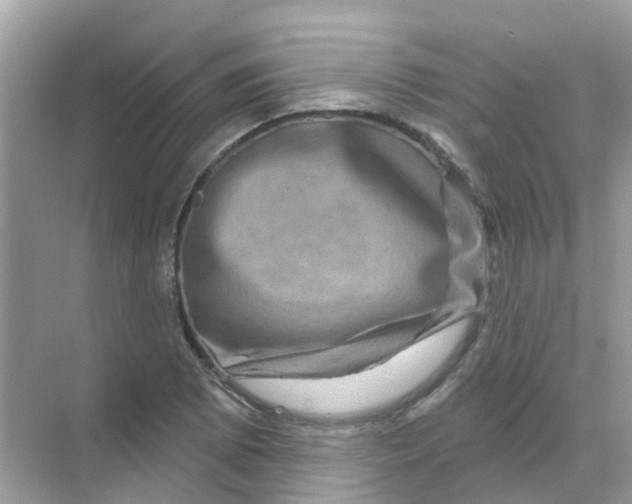 X0000070181073200606231941