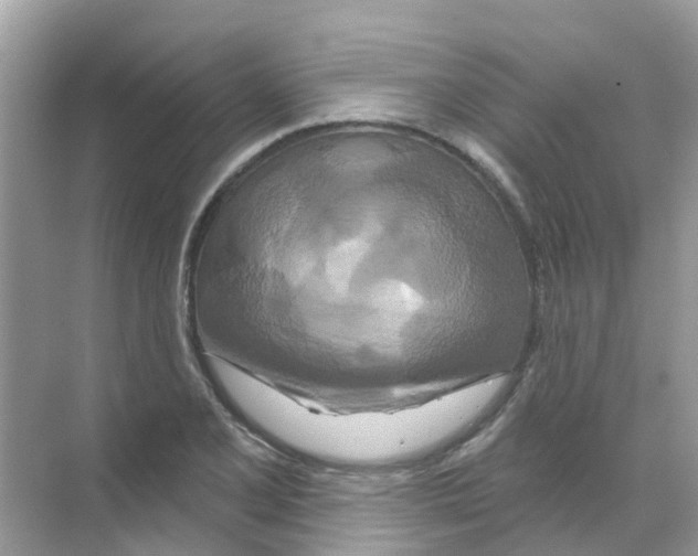 X0000070181077200606231941