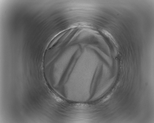 X0000070181081200606231940