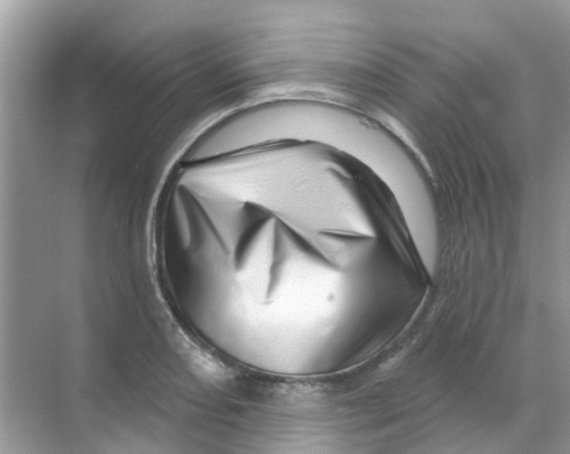 X0000070181082200606231940
