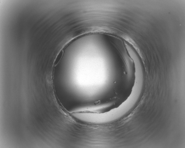 X0000070181089200606231940