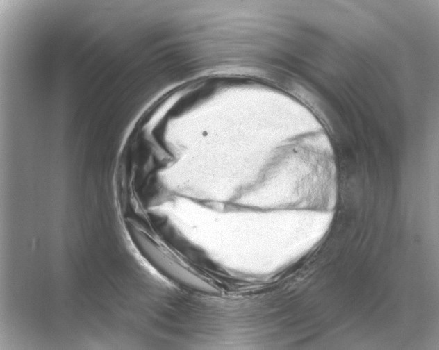 X0000070181092200606231940