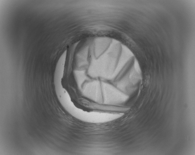 X0000070181108200606231939