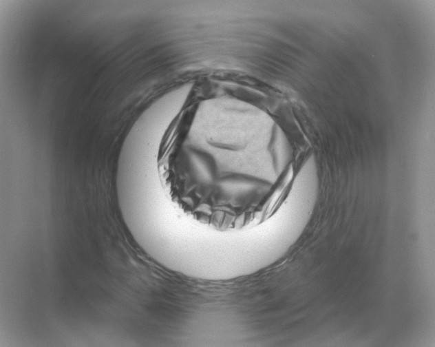 X0000070181110200606231939