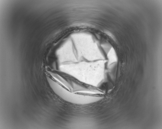 X0000070181111200606231939