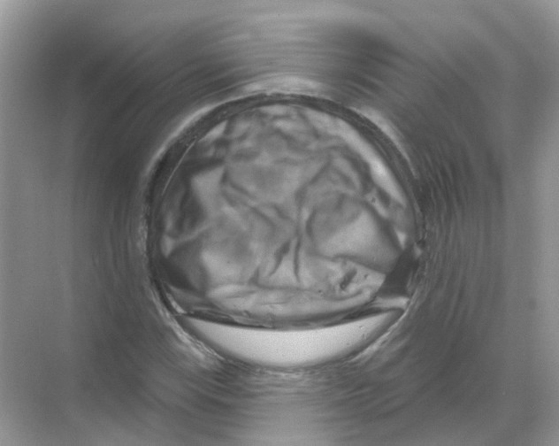 X0000070181115200606231939