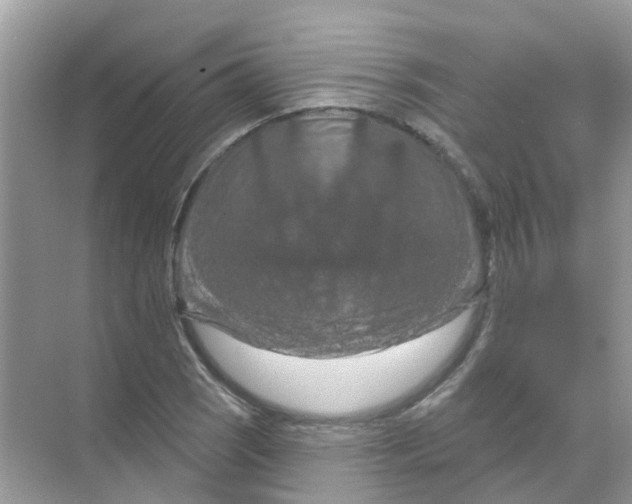 X0000070181121200606231940