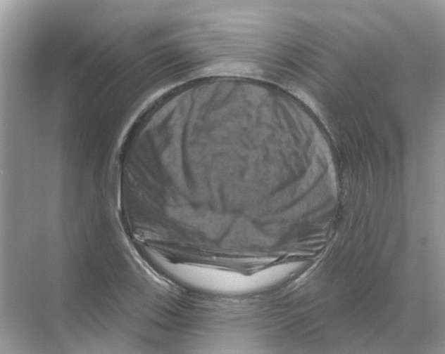 X0000070181123200606231940