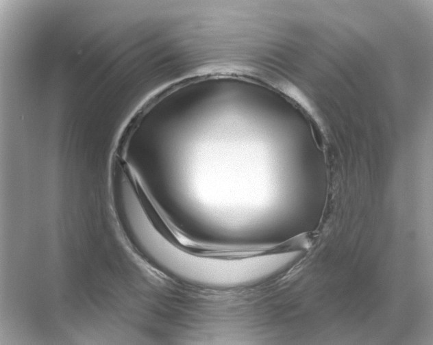 X0000070181124200606231940