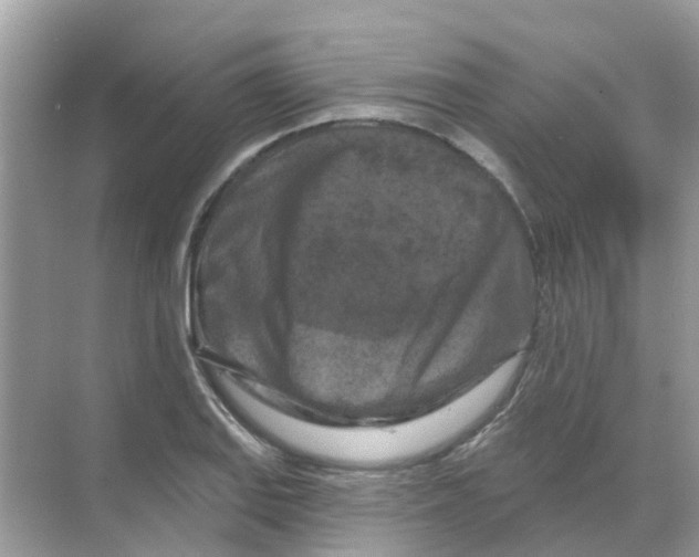 X0000070181127200606231940