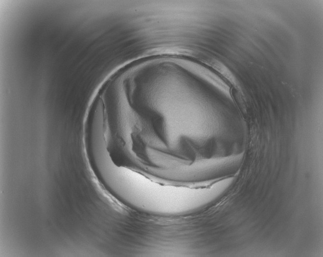 X0000070181132200606231940