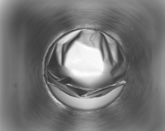 X0000070181135200606231940