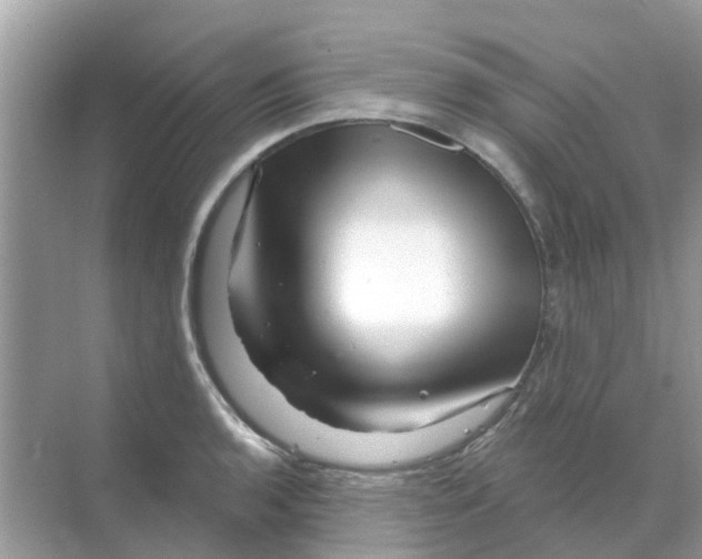 X0000070181136200606231940