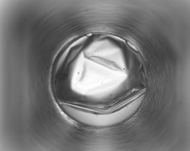 X0000070181139200606231940