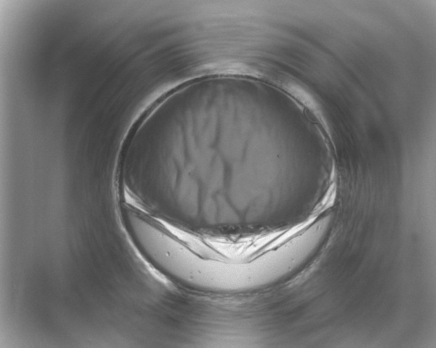 X0000070181141200606231940