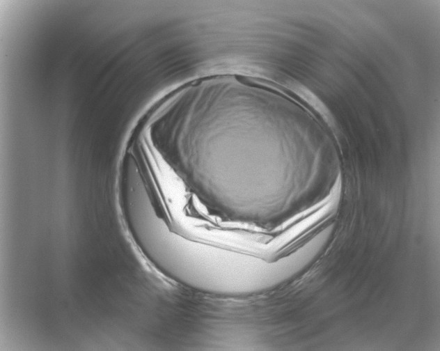 X0000070181144200606231940