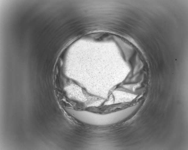 X0000070181145200606231940