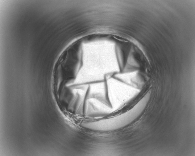 X0000070181147200606231940