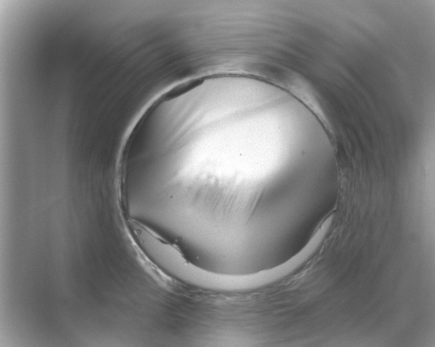 X0000070181148200606231940