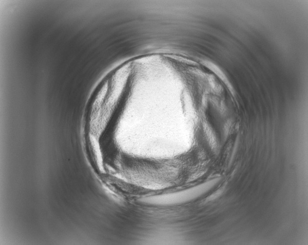 X0000070181149200606231940