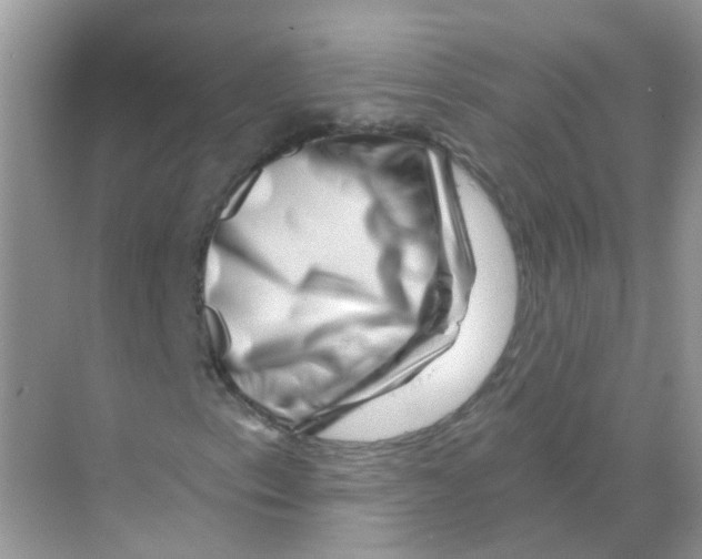 X0000070181153200606231939
