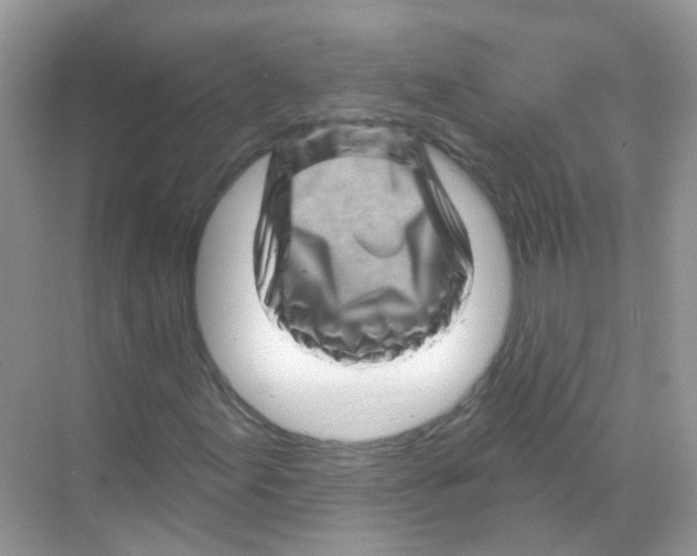 X0000070181155200606231939