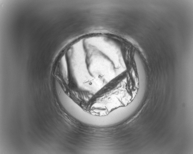 X0000070181167200606231939