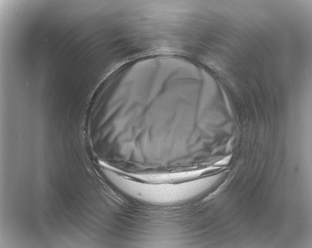 X0000070181170200606231939